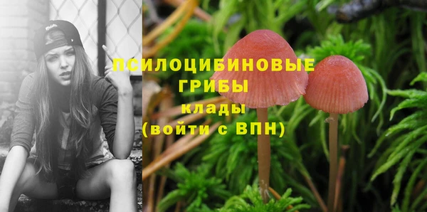 скорость Алзамай